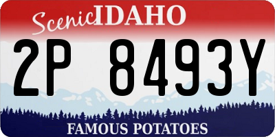 ID license plate 2P8493Y