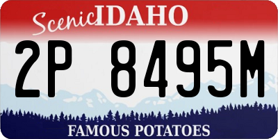 ID license plate 2P8495M