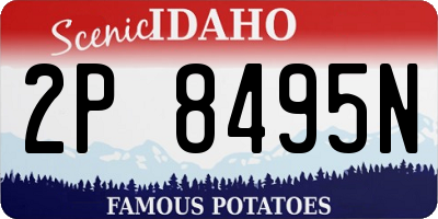 ID license plate 2P8495N