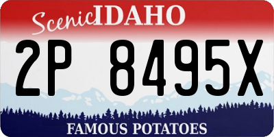 ID license plate 2P8495X