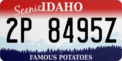 ID license plate 2P8495Z