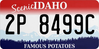 ID license plate 2P8499C