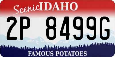 ID license plate 2P8499G