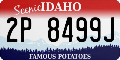 ID license plate 2P8499J