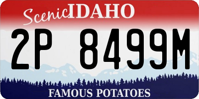 ID license plate 2P8499M