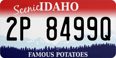 ID license plate 2P8499Q