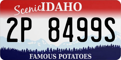 ID license plate 2P8499S