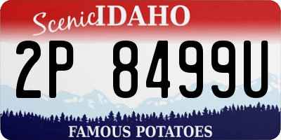 ID license plate 2P8499U