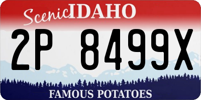 ID license plate 2P8499X