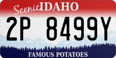 ID license plate 2P8499Y