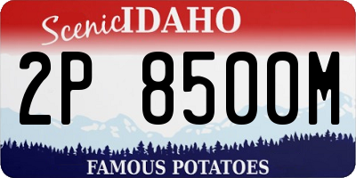 ID license plate 2P8500M