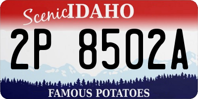 ID license plate 2P8502A
