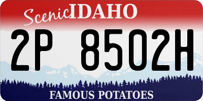 ID license plate 2P8502H
