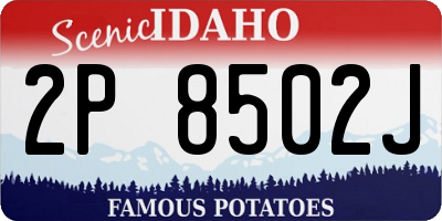 ID license plate 2P8502J