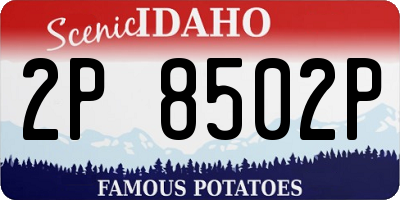 ID license plate 2P8502P