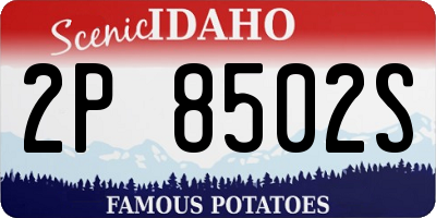 ID license plate 2P8502S