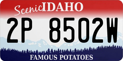 ID license plate 2P8502W