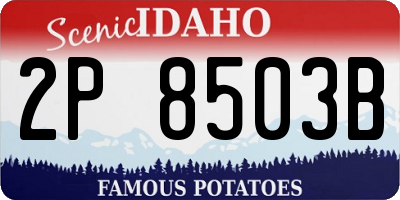 ID license plate 2P8503B