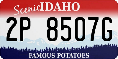 ID license plate 2P8507G