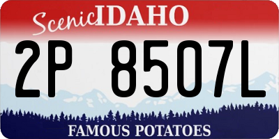 ID license plate 2P8507L