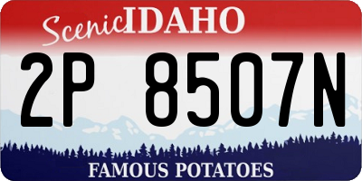 ID license plate 2P8507N