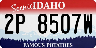 ID license plate 2P8507W