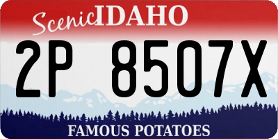 ID license plate 2P8507X
