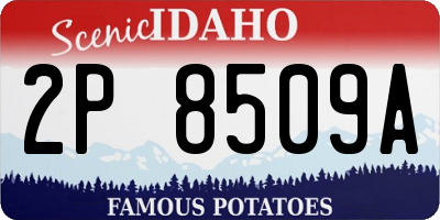 ID license plate 2P8509A