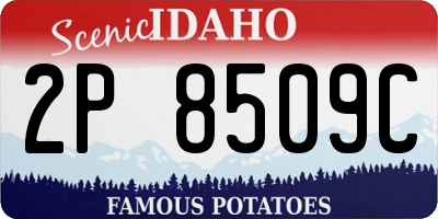 ID license plate 2P8509C