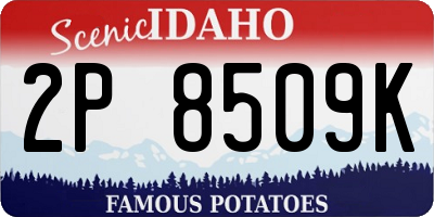 ID license plate 2P8509K