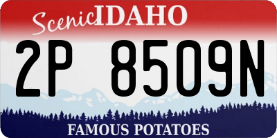 ID license plate 2P8509N