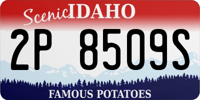 ID license plate 2P8509S