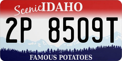ID license plate 2P8509T