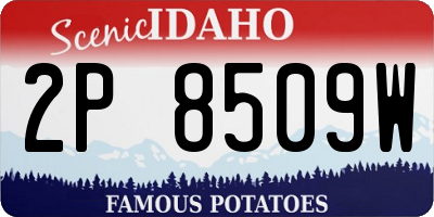ID license plate 2P8509W