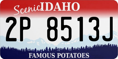 ID license plate 2P8513J