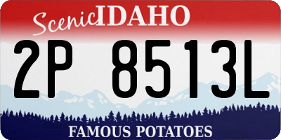 ID license plate 2P8513L
