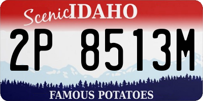 ID license plate 2P8513M