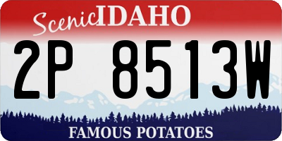 ID license plate 2P8513W
