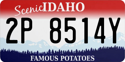 ID license plate 2P8514Y