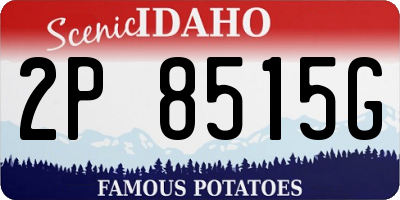 ID license plate 2P8515G