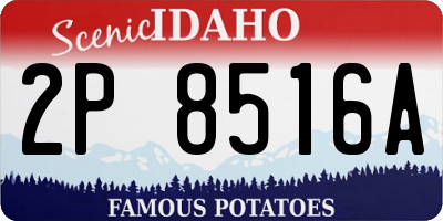 ID license plate 2P8516A