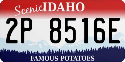 ID license plate 2P8516E