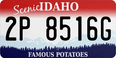 ID license plate 2P8516G