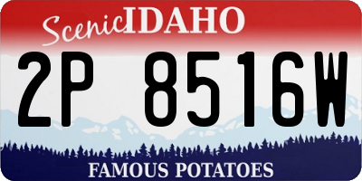 ID license plate 2P8516W
