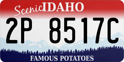 ID license plate 2P8517C