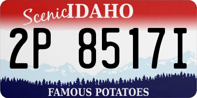 ID license plate 2P8517I