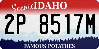 ID license plate 2P8517M