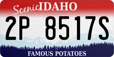 ID license plate 2P8517S
