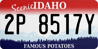 ID license plate 2P8517Y