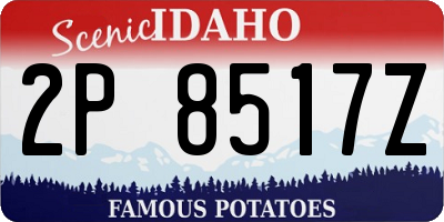 ID license plate 2P8517Z
